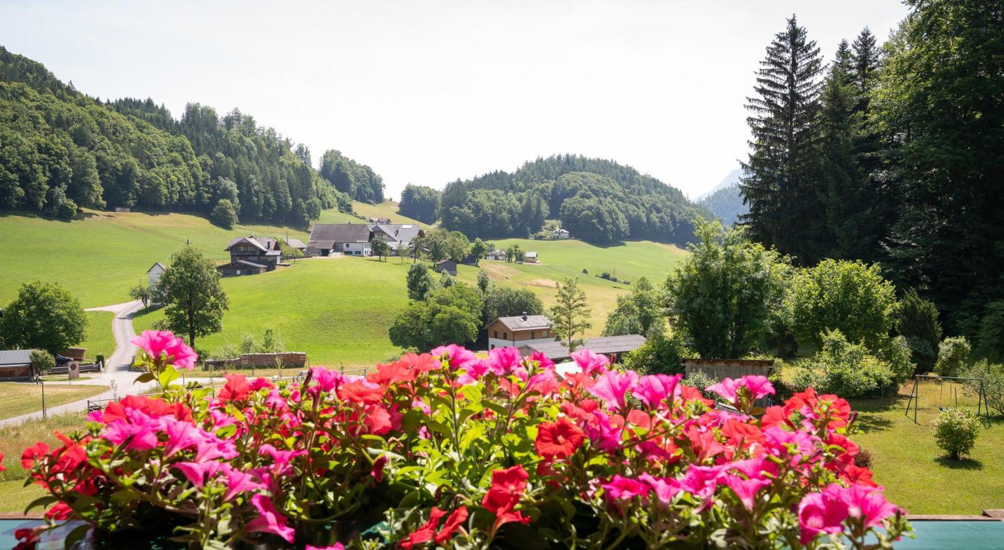 Appartement Scheibling Saint Wolfgang Exteriör bild
